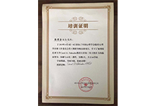 石家莊心理咨詢(xún)榮譽(yù)資質(zhì)