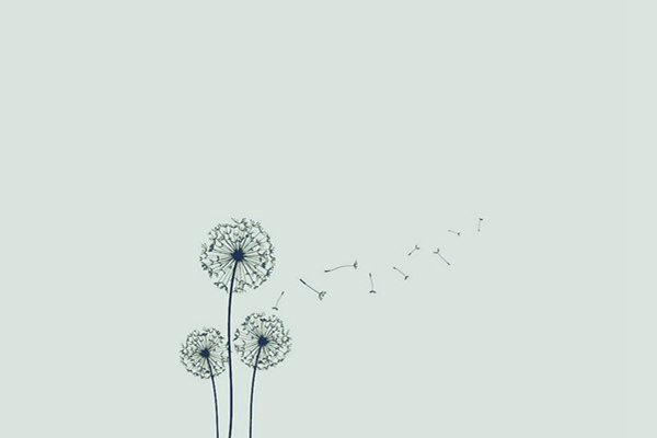 石家莊心理咨詢